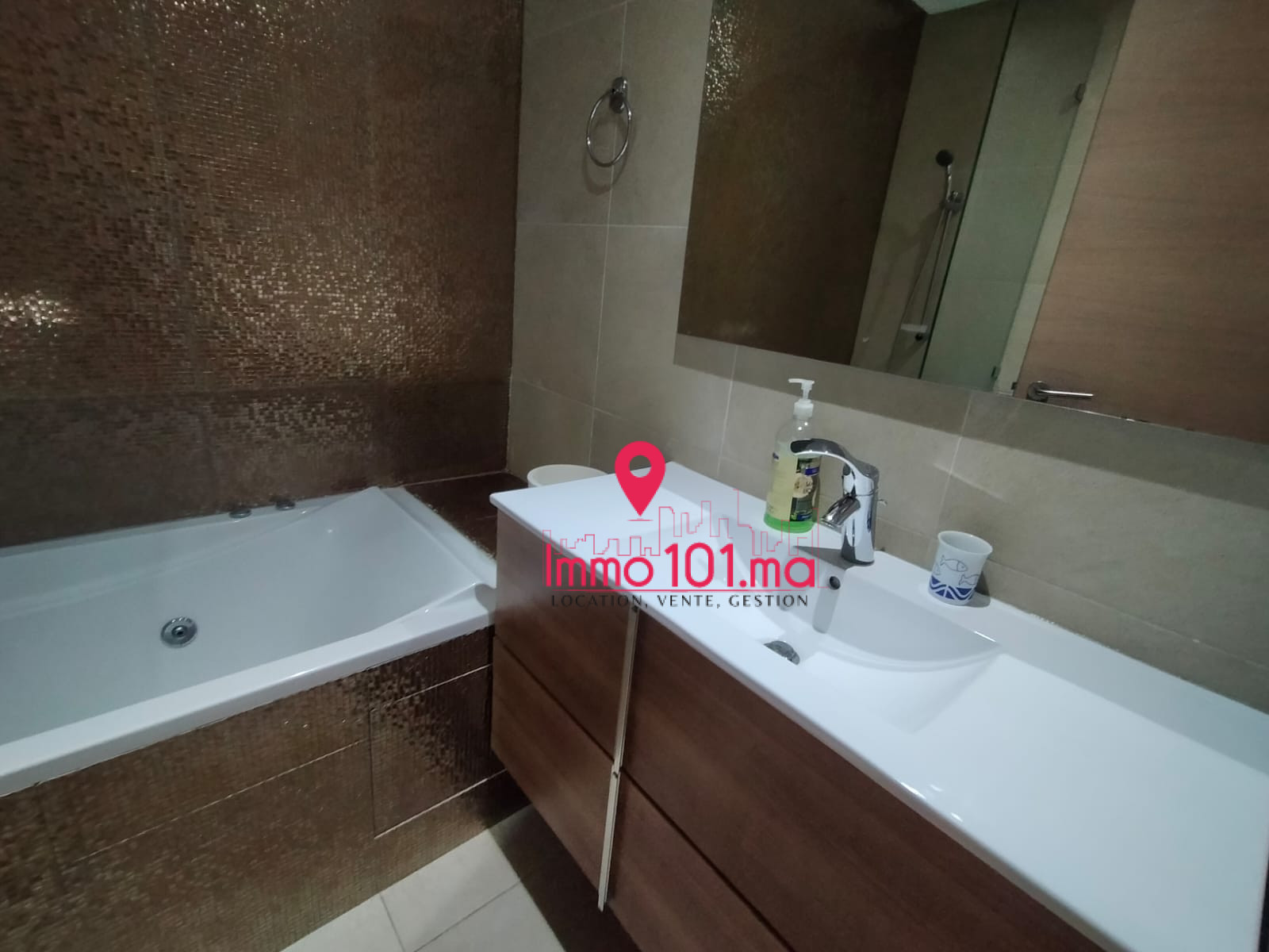 Location appartement meublé à Plage des nations ZLLAM1144